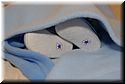 calvin-birth-20071007-340.jpg