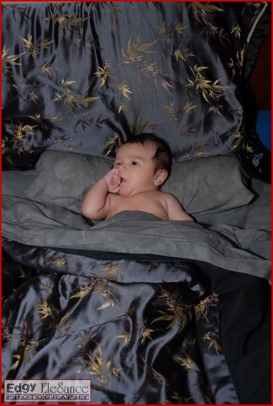 calvin-20071122-silver-sheets-007.jpg