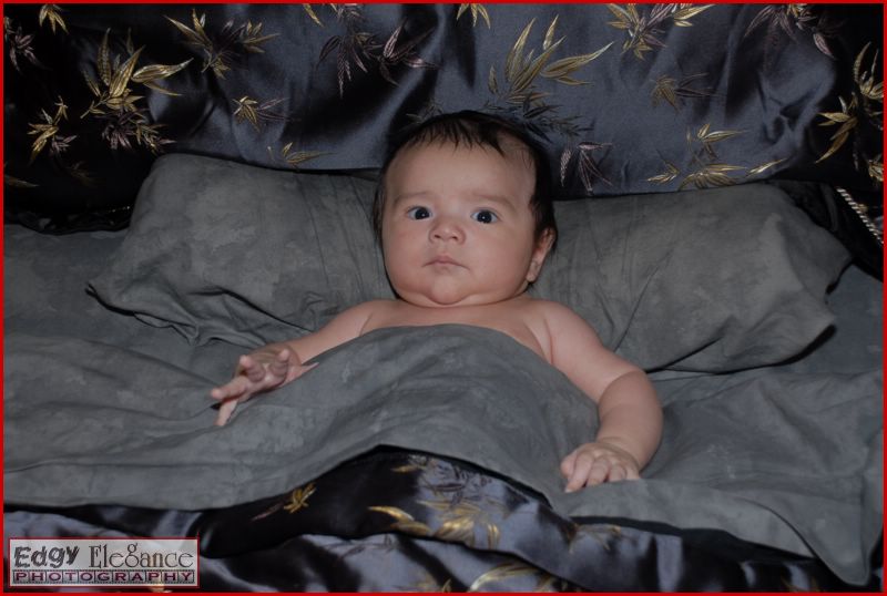 calvin-20071122-silver-sheets-021.jpg