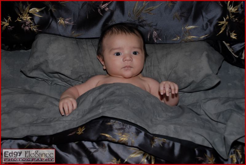 calvin-20071122-silver-sheets-023.jpg