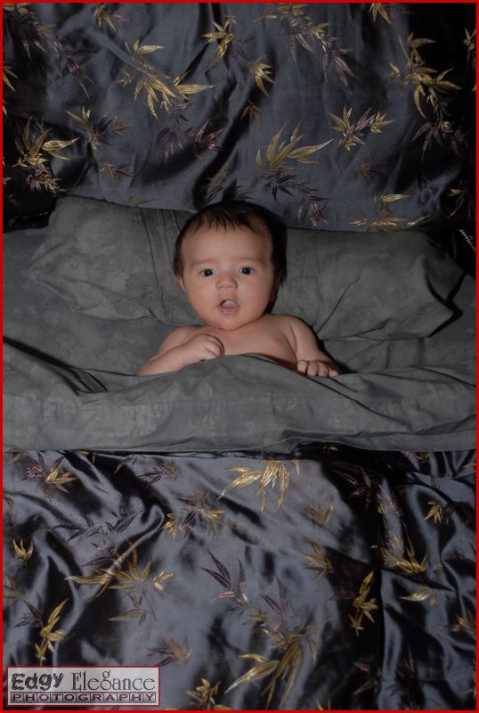 calvin-20071122-silver-sheets-052.jpg