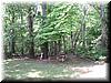 house-2132-brandywine-39.jpg