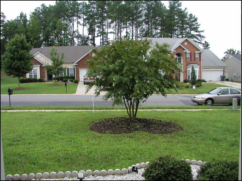 house-6719-reedy-creek-04.jpg